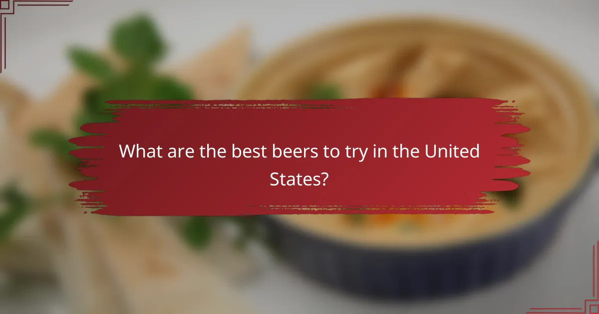 What are the best beers to try in the United States?