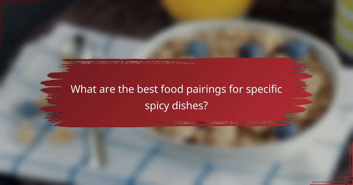 What are the best food pairings for specific spicy dishes?
