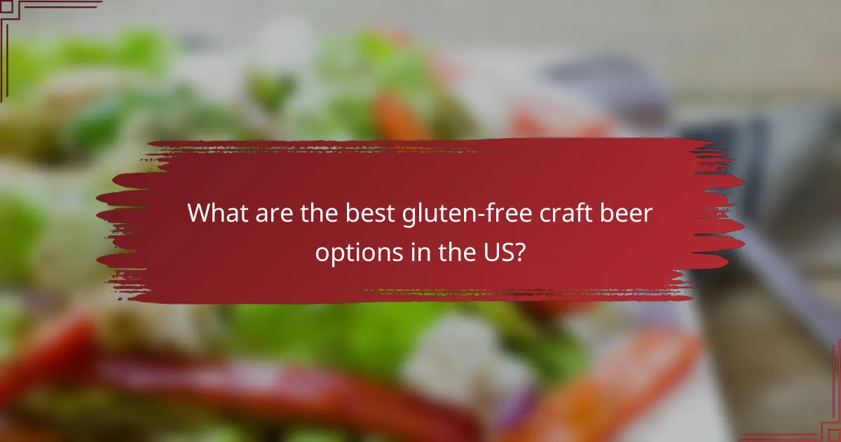 What are the best gluten-free craft beer options in the US?