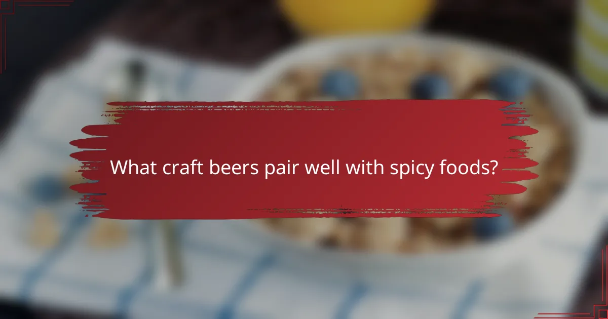 What craft beers pair well with spicy foods?